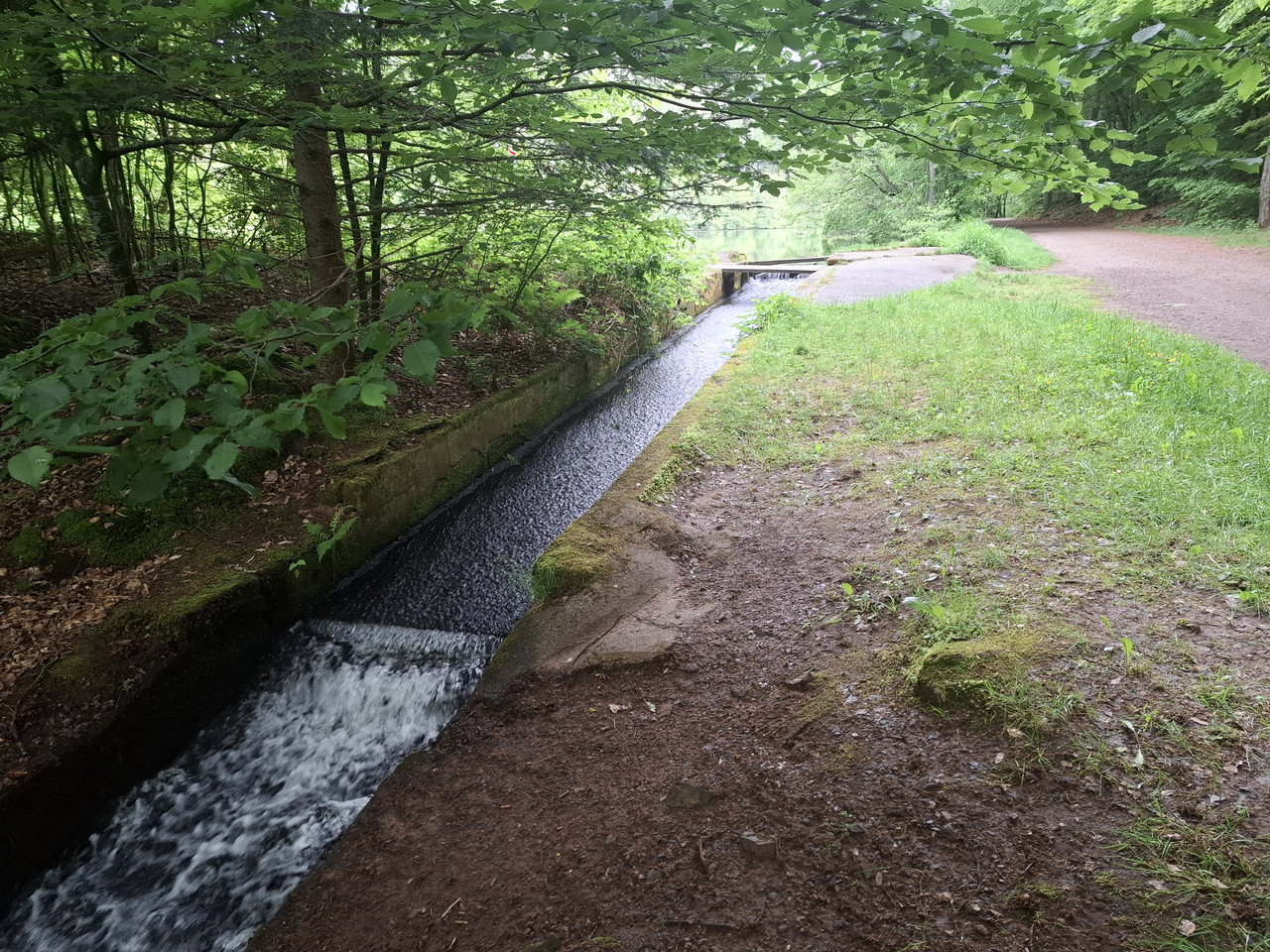 20260518-095515.jpg