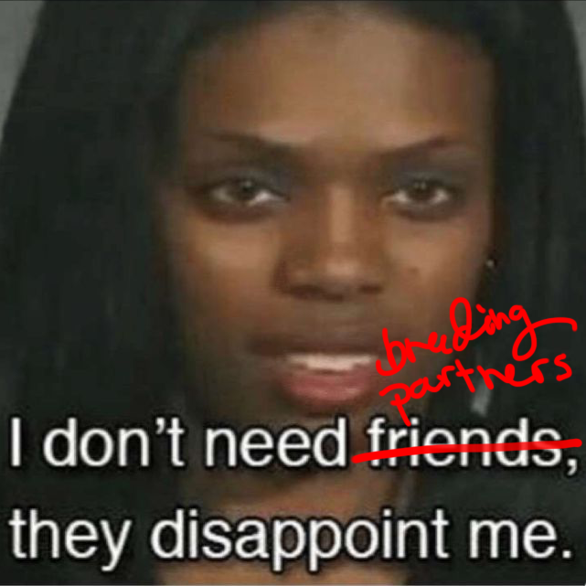 bp.png