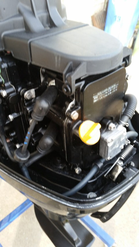 20200217_154305 (Small)