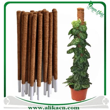 coco-coir-poles-dragon-fruit.jpg