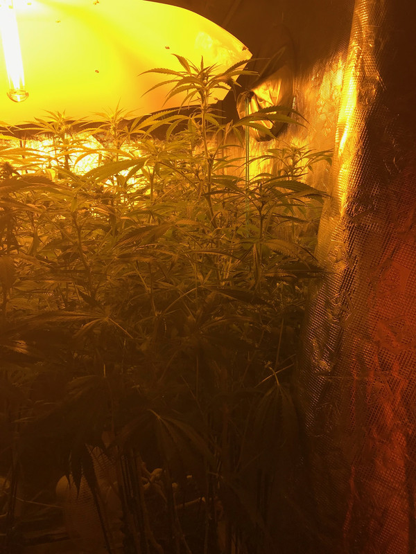 E4A1C1F0-F083-4237-B09C-15B66D894F2A