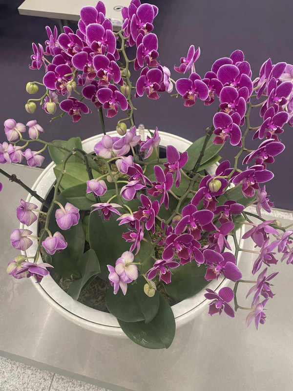 A891D10C-A960-4E03-815C-0B867F42B895