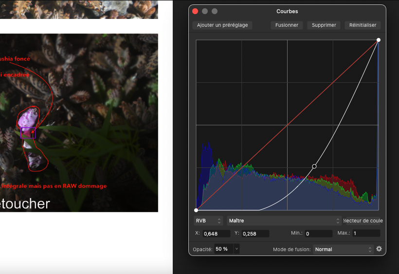 Capture d’écran 2023-08-20 à 20.39.13