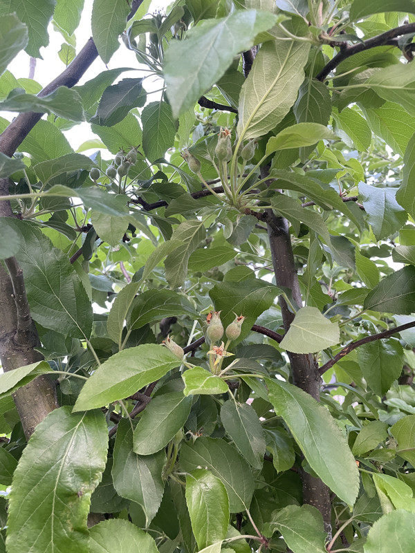 422932C5-D72F-4CBF-B381-CA59ADAF32A7