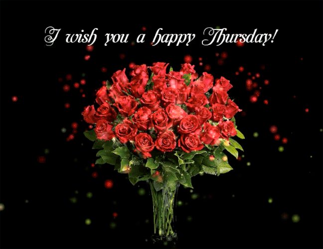 An den Beitrag angehängtes Bild: https://i.postimg.cc/WbyMtWpd/oie-1182953-FLYi-C8-EZ.gif