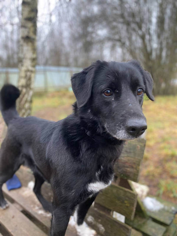 photo 2025 11 29 20 56 07 (2)