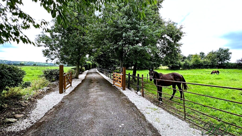 animal-Horse-field-lane-HD.jpg