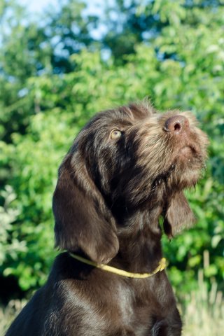 phoca_thumb_l_20250703_16