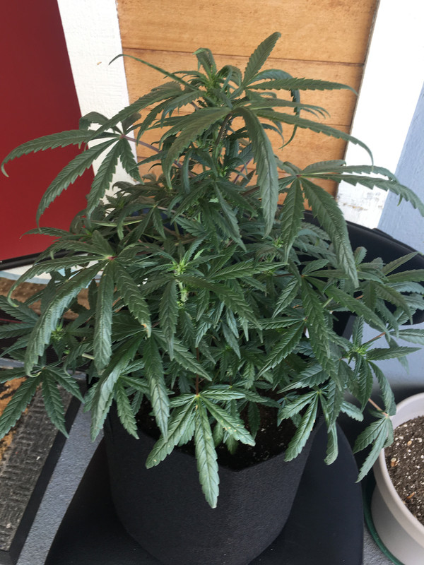 E3AE07E7-D0FD-4F3F-96EB-F25D12F75506