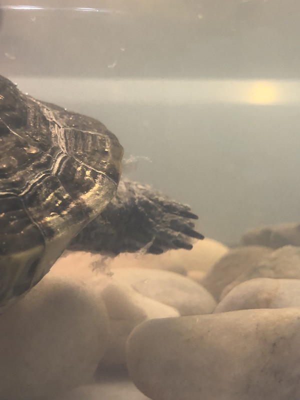 A14BFE66-C7BF-4BBD-B66F-F70246E94FF3