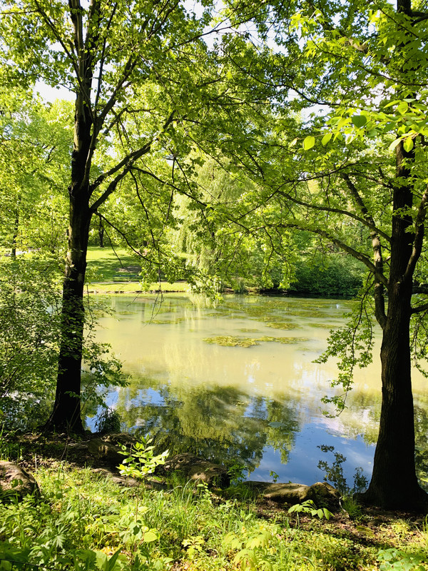 6B7F6725-7C4A-4202-BDD8-6E8392BCDFE6