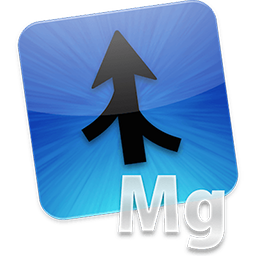 Araxis Merge Professional Edition 2022.5696 64 Bit - Eng