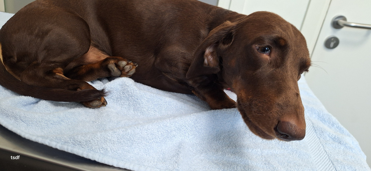 [Image: 20250807-140626.jpg]