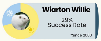 wiarton willie success rate