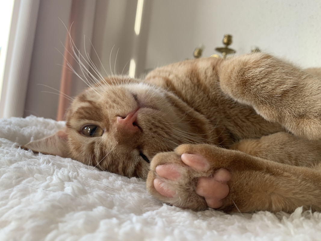 163F4A96-371D-4A28-A964-99F6F083287B