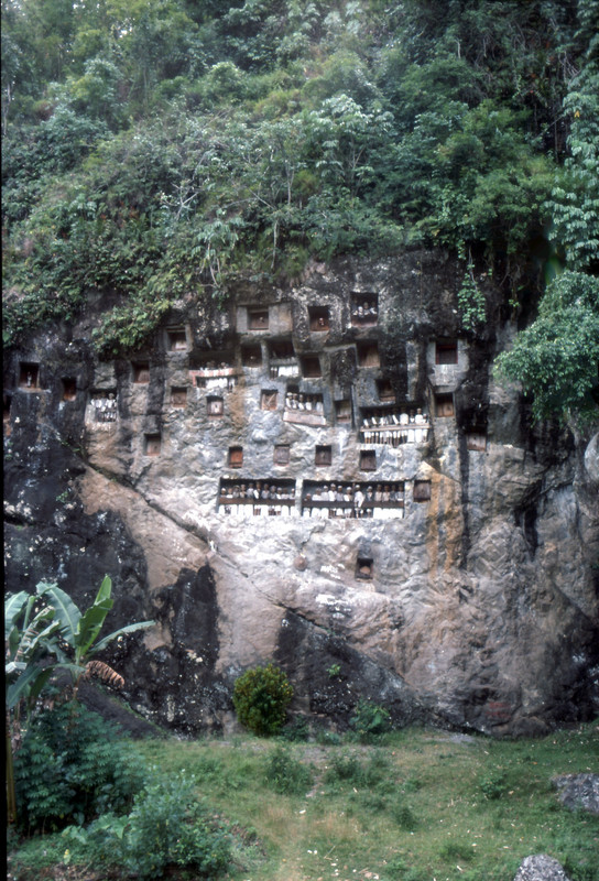 Torajan-tomb-in-a-high-rocky-cliff.jpg