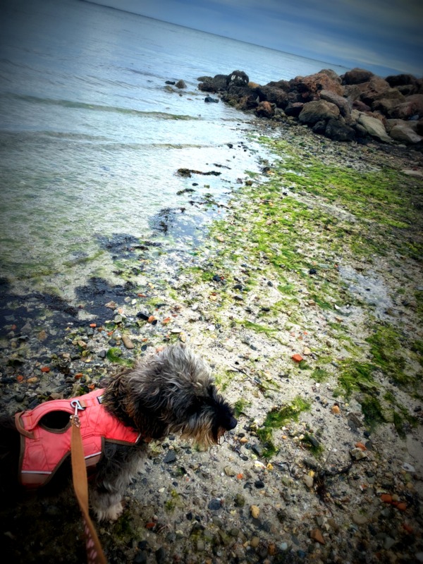 [Image: IMG-1707.jpg]