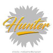 Untitled531_20241016130356