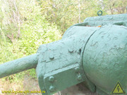 IMG-5004