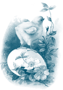 0-1c1794-b32f50e6-orig