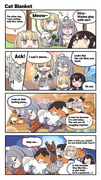 BD2 4-koma extra - cat blanket