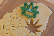 Cut-Out Cookies (perfect for our leaf cookie cutter)