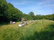 [Obrázky: IMG-20250622-162241-847.jpg]