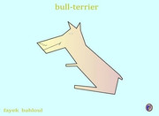 bull terrier