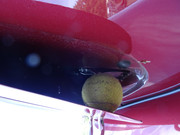 DSC06147.jpg