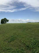 798E3960-DC02-41B2-B28D-D61F6DC4ADDE