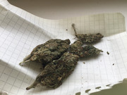 4B4258FA-B624-438B-9639-9934893958F6