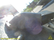 IMG-5430