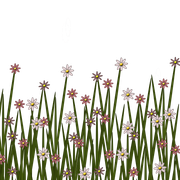 TWFlowerbee-Flowergrass1