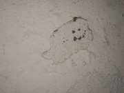 67.21.what makes an artist XXI