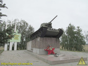 IMG-8768