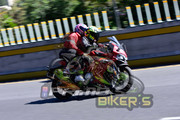 DSC0454