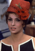 Lollobrigida-Gina-684