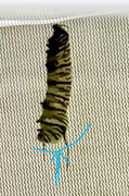 IMG-3227