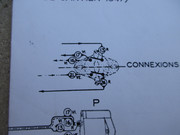 IMG-4051.jpg