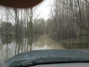 [Image: driveway.jpg]