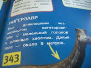https://i.postimg.cc/Wdk0cKft/100-8122.jpg