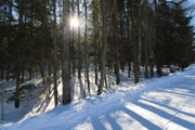IMG-1615x