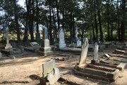 IMG-0335