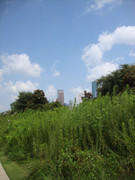 photo 21 2025 12 27 21 26 39