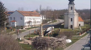 Kép