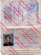 Greece Passport_cleaned