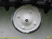 IMG-7711