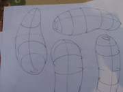 IMG-20240228-132251881