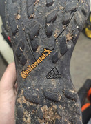 123099135_449726742671278_4952902038995925268_n