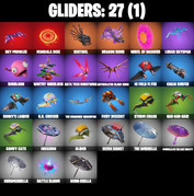 gliders-comp
